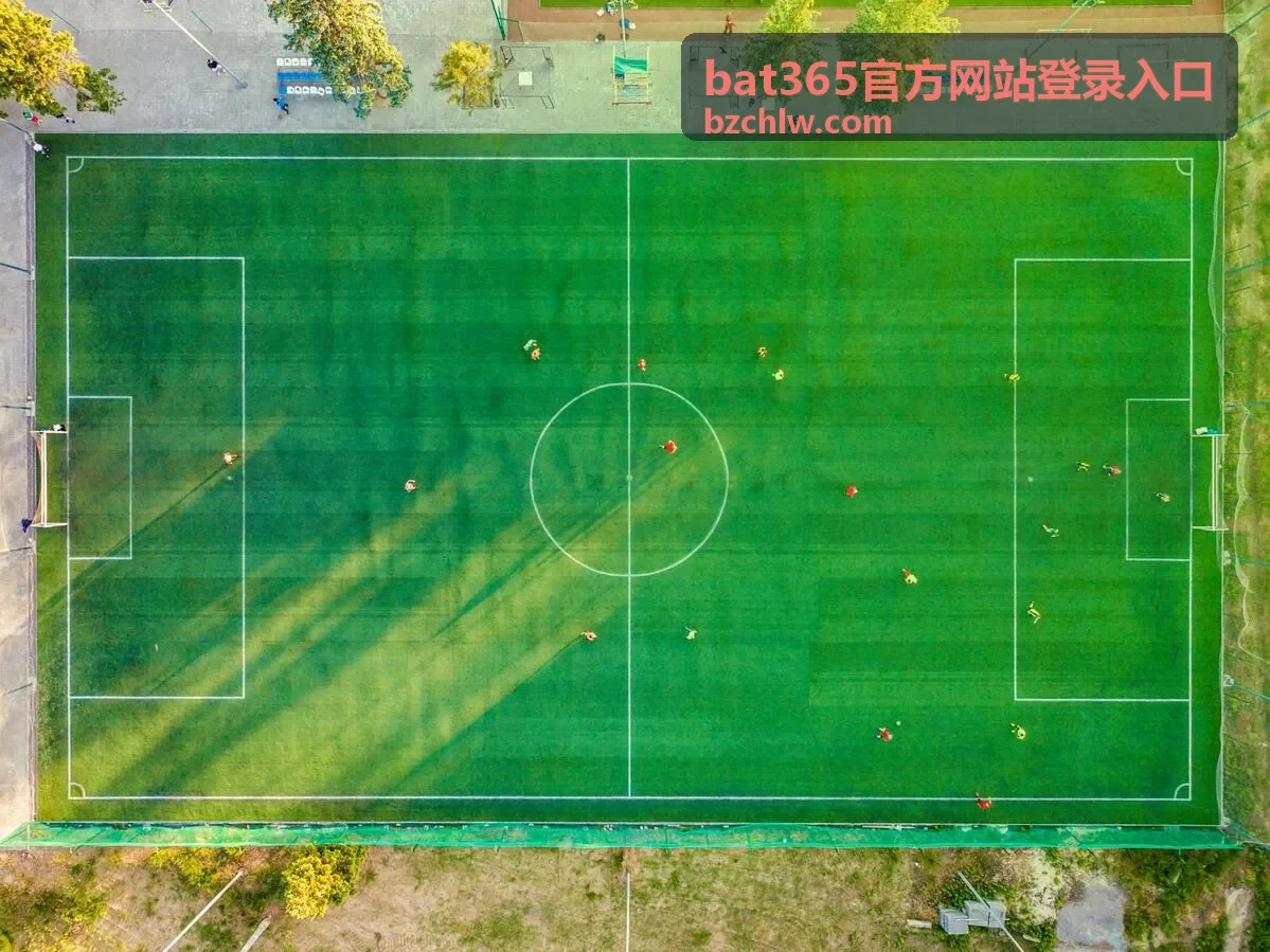 bat365官方网站登录入口首次访问准备说明配图